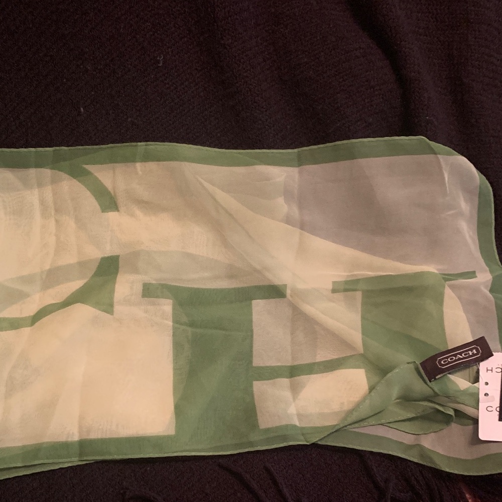 Coach Sheer Silk Scarf in Green and Cream
